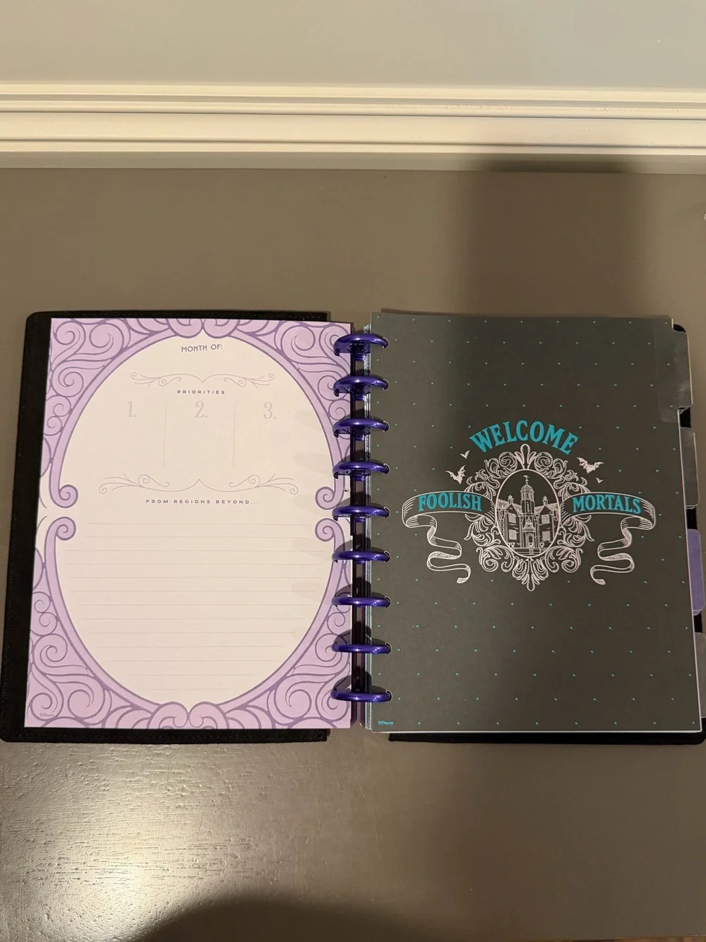 Happy Planner Haunted Mansion Deluxe Undated Classic Dashboard Planner